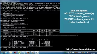 Structured Query Language Tutorial SQL Part 18 IN Operator Command Prompt Console