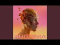 Lagu Bugonia