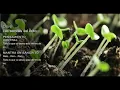 Download Lagu 21 dias de Meditação - Vivendo a Abundância - Dia 6 - Com Deepak Chopra