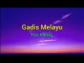 Download Lagu Gadis Melayu - Trio Elexis (Lirik lagu)
