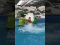 Best Job in a pool