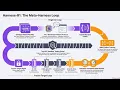 Harness-R1 Editing the Runtime Around a Frozen Agent