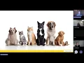 Download Lagu HFDV-webinar : \