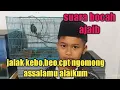 Download Lagu bocah ajaib..mengajari jalak kebo ngomong assalamualaikum lgsg bisa