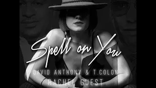 david anthony u0026 t colon rachel guest spell on you original mix planet hum