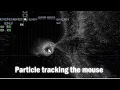 touc esigner tutorial - Particle tracking the mouse
