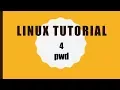 How to use pwd command in Linux