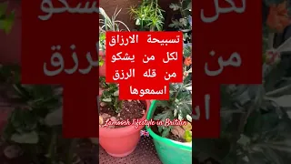 تسبيحه الأرزاق لكل من يشكو من ضيق الرزق تسبيح تسبيحات دعاء الرزق  تسبيحه الأرزاق لكل من يشكو من ضيق الرزق تسبيح تسبيحات دعاء الرزق
