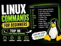 Basic Linux Commands for Beginners Learn Linux Step by Step 2026 Guide
