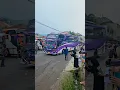 Pesona Bus Artis 👑Ratu Maher👑 Pake nada apa nih cuyy #shorts #busmania #basuri