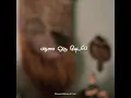 Download Lagu Life Of Maara Whatsapp Status | Dulquer Salmaan Poetry | Tamil whatsapp status | NaveenAlbum \u0026 Cuts