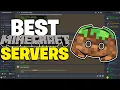 BEST MINECRAFT DISCORD SERVERS TO JOIN IN 2021 Bedrock Java