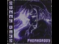 MADATAK - DARK SOUL (PHONK)