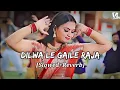 Lagu Dilwa Le Gaile Raja | Slowed+Reverb | दिलवा ले गईले राजा | Shilpi Raj | VISH LOFI WORLD