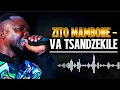 Zito Mambone - Va Tsandzekile - mp3 | Audio  2025