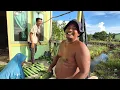 Download Lagu KESIBUKAN WARGA JOGJA BERTANI, LAHAN TRANSMIGRASI SP6B, BULUNGAN, KALIMANTAN UTARA