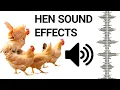 Download Lagu Suara Ayam Untuk Menarik Ayam Jantan | Efek Suara Ayam Gratis