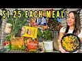 Download Lagu Budget Vegan Meals for Only $1.25 Each (Easy \u0026 Delicious!)