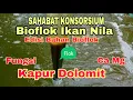 Lagu Pemberian Dolomit: Budidaya Ikan Nila Sistem Bioflok (2.Kapur Dolomit)