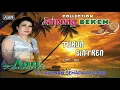 Download Lagu JAIPONG - AAN KURNIASIH - TURUN SINTREN ( Official Video Musik ) HD