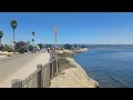Surfers at Pleasure Point Santa Cruz Ca