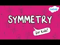 What is Symmetry Line of Symmetry Math Lesson Twinkl USA