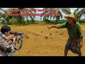 Lagu Berburu ‼️ ratusan burung tekukur makan benih padi petani yang sudah di tabur