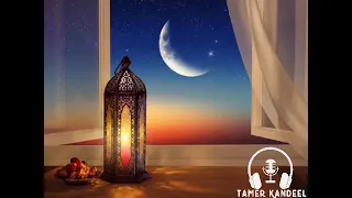 يا جريد النخل العالي وفاء الخولي 