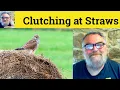 Download Lagu 🔵 Clutching At Straws Meaning - Grasping At Straws Defined - Clutch at Straws Definition