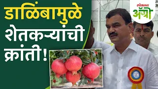 डाळिंब परिषदेचे उद्घाटन! काय म्हणाले कृषीमंत्री? International Pomegranate Conference in Pune