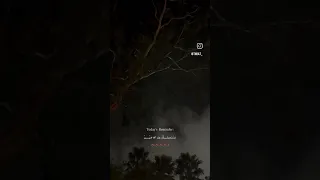 يا ملاذ الهاربين دندنها