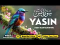 Download Lagu Surah Yasin (Yaseen) سورة يس ✦ Beautiful voice heart touching ✦ Majestic Quran For Sleep ✦ Alaa Aqel