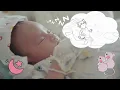 El Twist de los Ratoncitos | Canciones infantiles | Sueños reino infantil