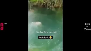 dunyanin en komik anlari 1 bolum
