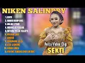 Download Lagu NIKEN SALINDRY \