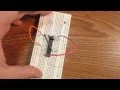 eapbg Wiring 16bit dsPIC33 Blink