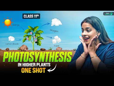 Photosynthesis in Higher Plants Class 11 One Shot NCERT Biology Complete Chapter Revision - Biology video for Grade 11