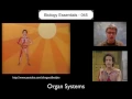 Organ Systems