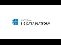 Big Data Platform