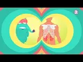 How Your Urinary System Works? - The Dr. Binocs Show | Best Learning Videos For Kids | Peekaboo Kidz