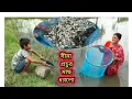 Download Lagu চাক জালে প্রথম দিন,এতো মাছ পাবো ভাবিনি , ।। কি ভাবে মাছ গুলো ধরলাম দেখুন ।।
