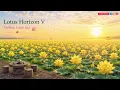 Lotus Horizon V | Endless Lotus Sea • Deep Sleep & Meditation Nylon Guitar #FingerstyleGuitar