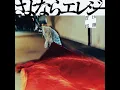 Sayonara Elegy (Acoustic Version)