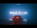 Download Lagu Nicky Romero x Vikkstar x Alpharock x Oaks - Where Do I Go  (Extended Rameses B Remix)
