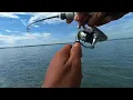 Download Lagu Udang baru nyentuh air langsung di sambar..!!