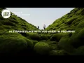 MitiS - Homesick (Lyrics) feat. SOUNDR