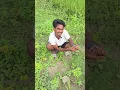 Download Lagu Baap beta sath me 😅 #lungibhai #funny #explore
