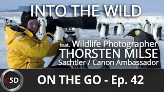 into the wild on the go ep 42 feat sachtler u0026 canon ambassador thorsten milse