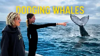 We Had to Dodge Whales All the Way to Langebaan | S5 E31