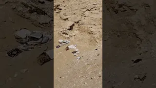 التيرند الي قالب السوشيال ميديا كلها كوميديا ضحك حسبي الله ونعم الوكيل 